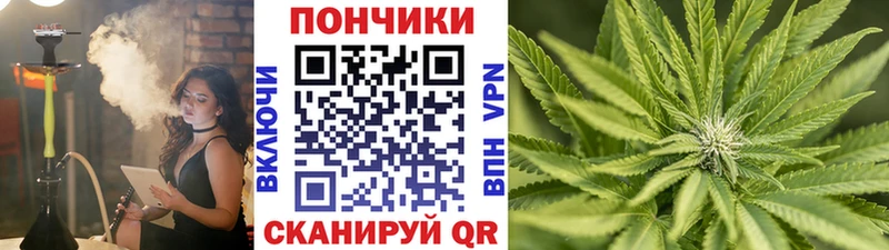 Купить где  Будённовск  Конопля семена 